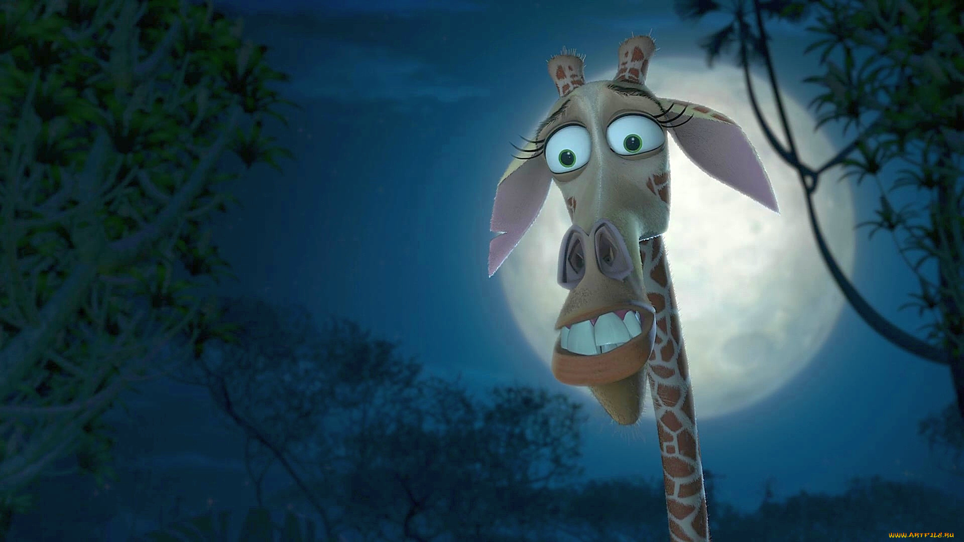 , madagascar,  escape 2 africa, , , , 